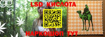 спайс Коммунар
