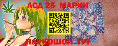 спайс Коммунар